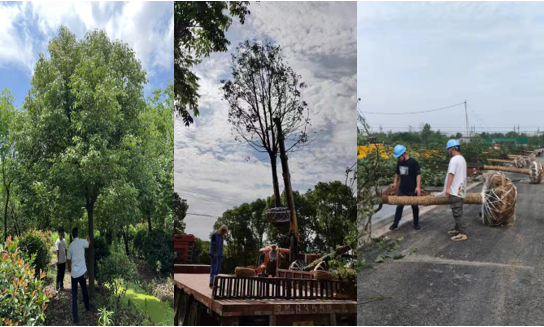 完工！盘城2号地块配套蹊径秀出新高度