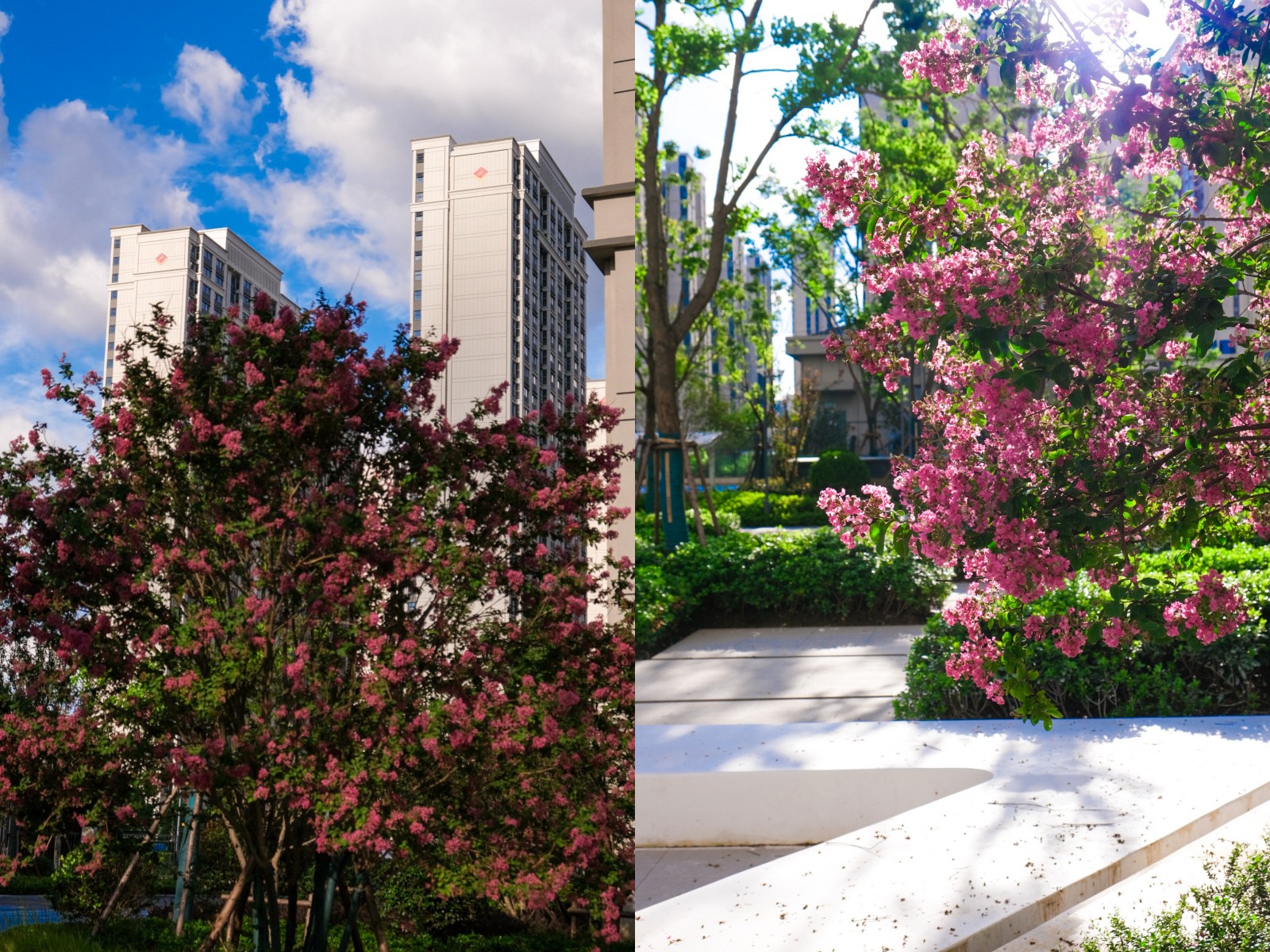 台风过境，，，，这一大波民生项目be like（图说包管房）