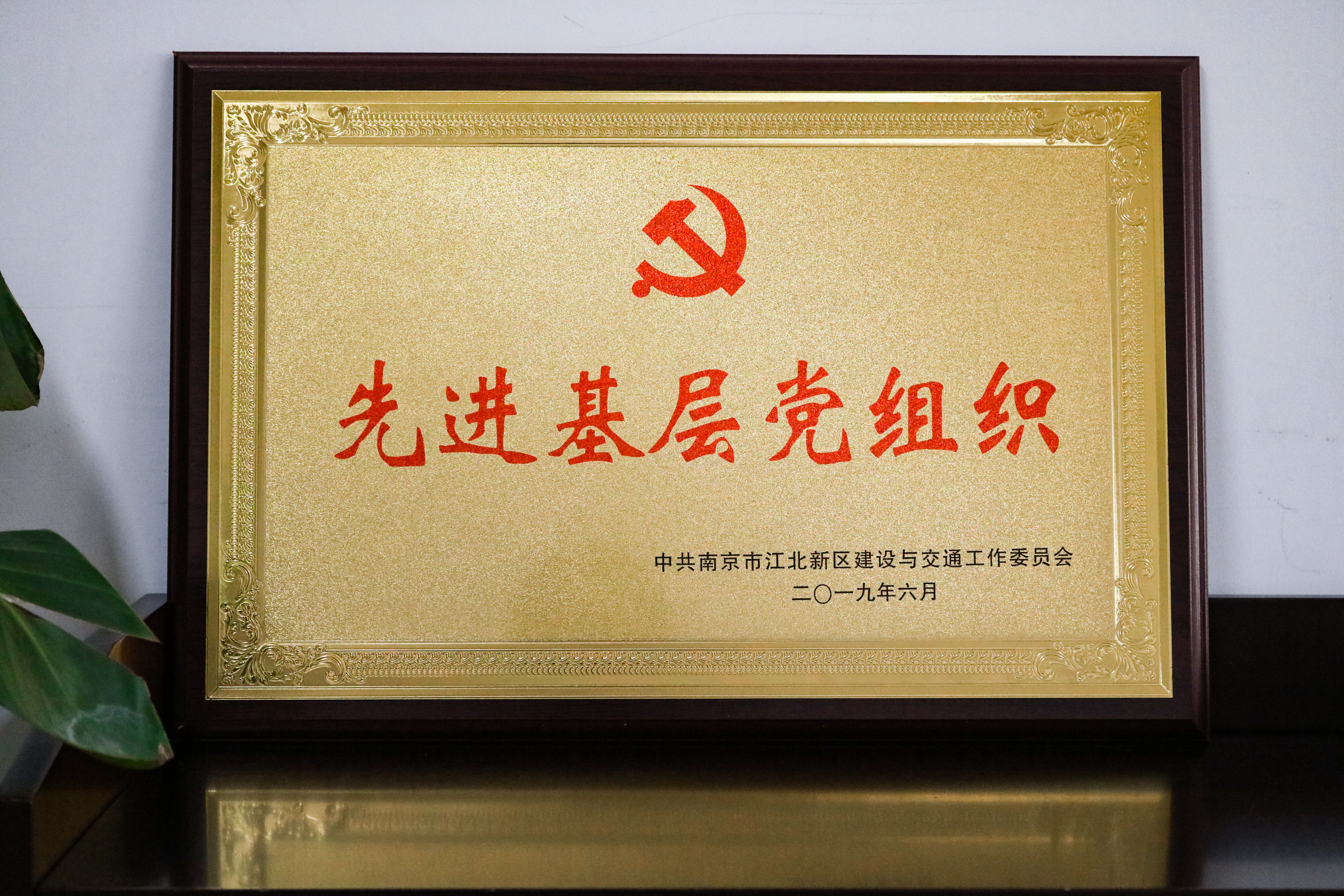 壹号娱乐app官网(中国)官方版下载