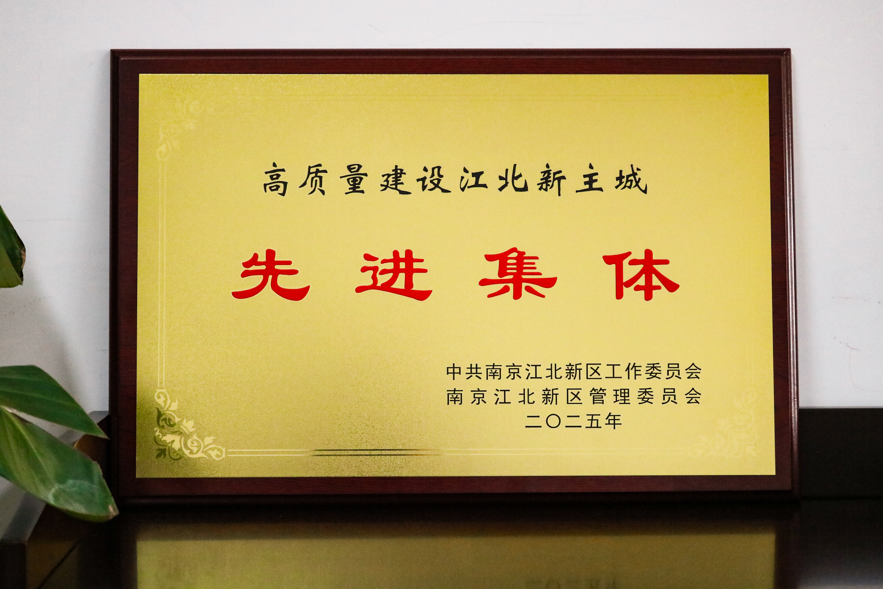 壹号娱乐app官网(中国)官方版下载